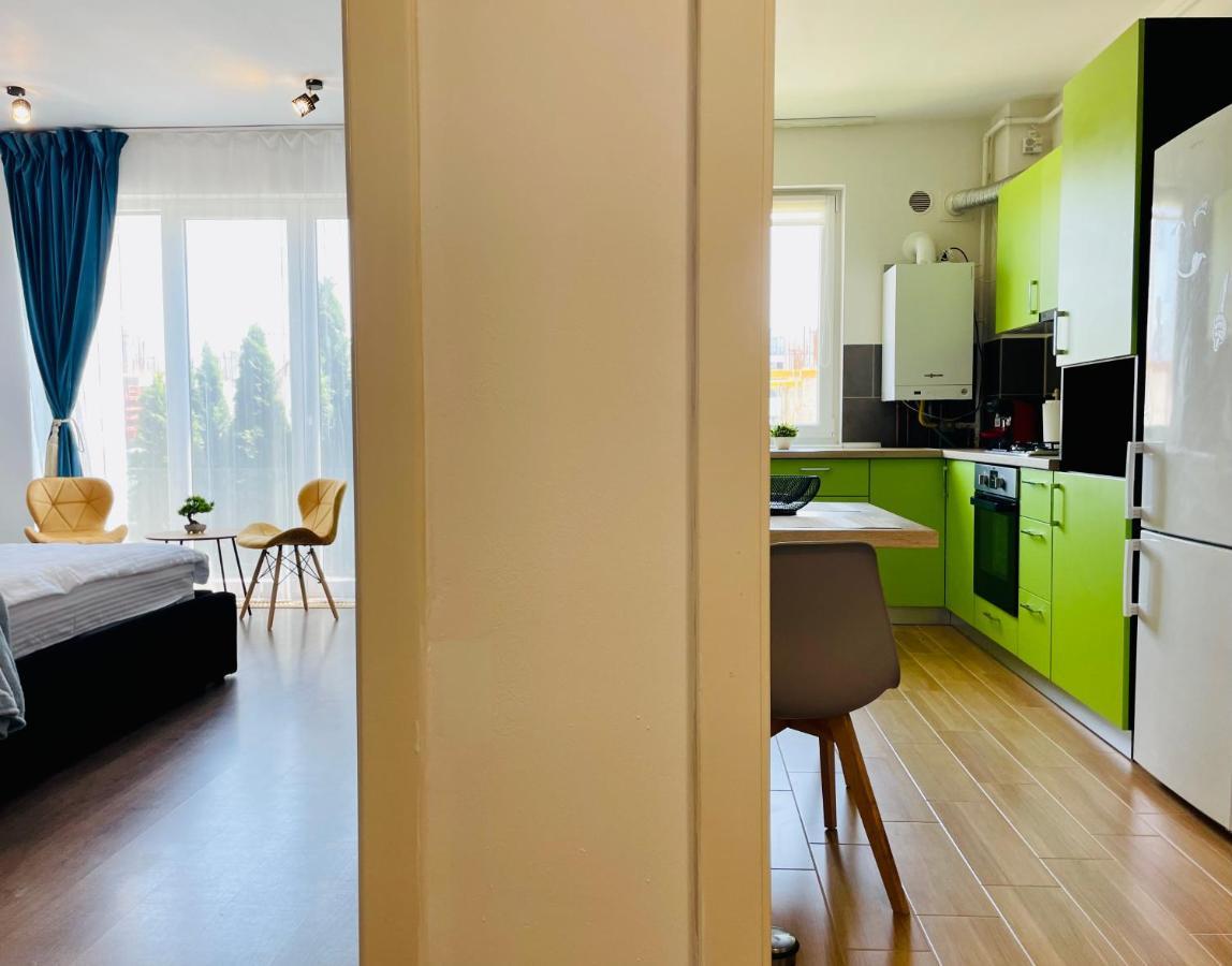 Apartment Aventurescu Coresi *