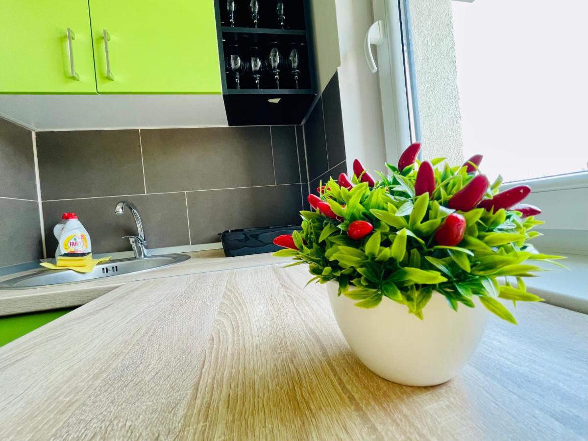 Apartment Aventurescu Coresi